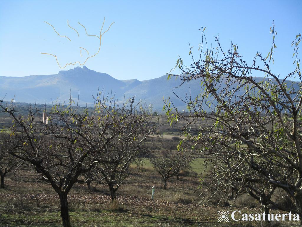 Casa Tuerta Villa Alcala de Moncayo Exterior photo